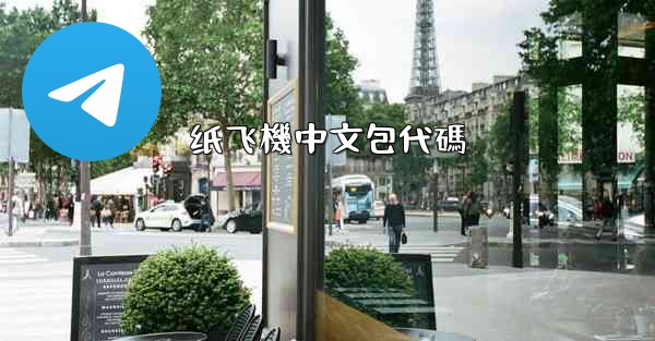 纸飞機中文包代碼