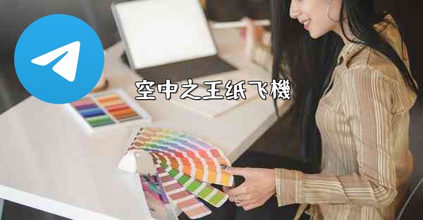 空中之王纸飞機
