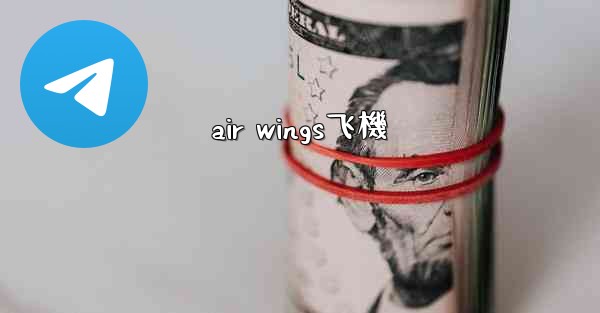 air wings飞機