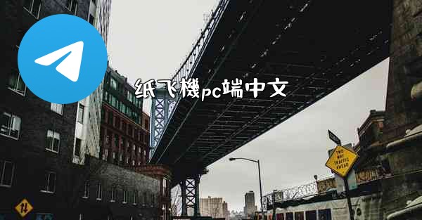 纸飞機pc端中文