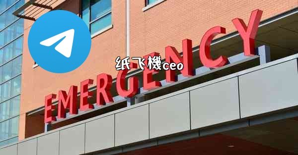 纸飞機ceo