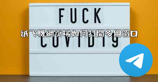 纸飞機網页端如何打開多個窗口