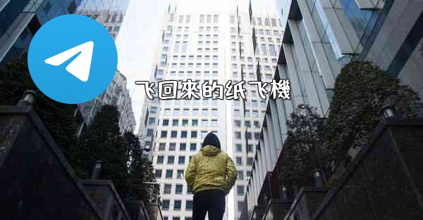 飞回來的纸飞機