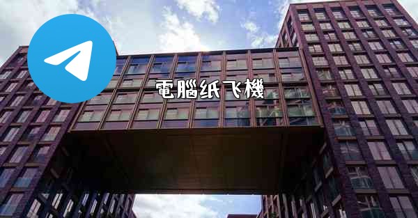 電腦纸飞機