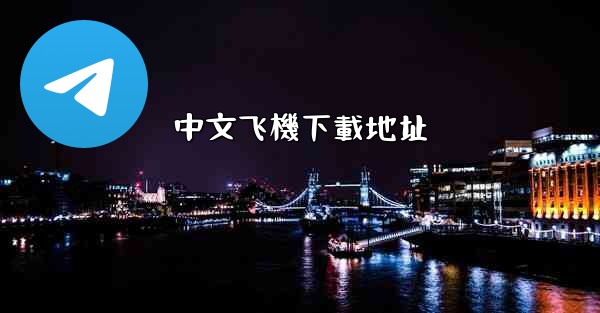 中文飞機下載地址