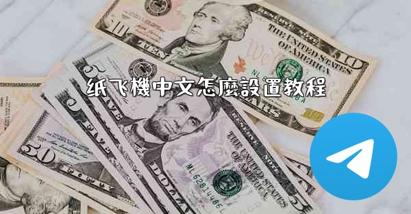 纸飞機中文怎麼設置教程