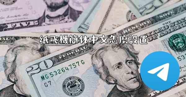 纸飞機簡体中文怎麼設置