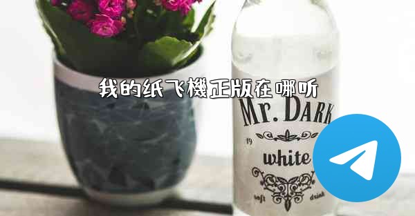 我的纸飞機正版在哪听