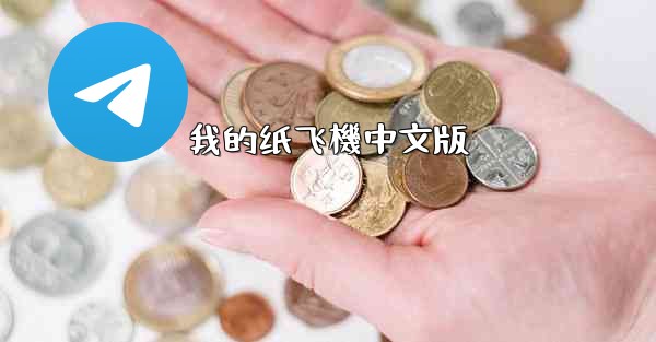 我的纸飞機中文版