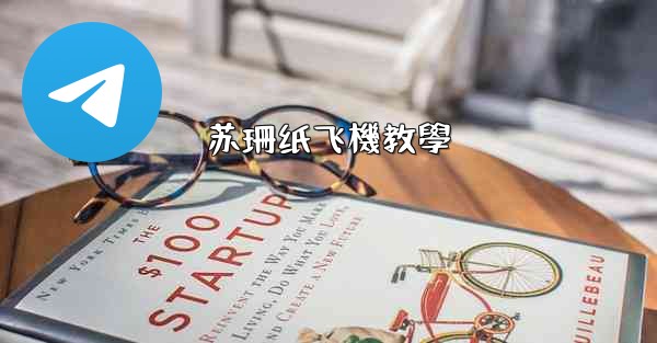 <b>苏珊纸飞機教學</b>