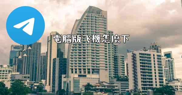 <b>電腦版飞機怎麼下</b>