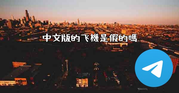 中文版的飞機是假的嗎