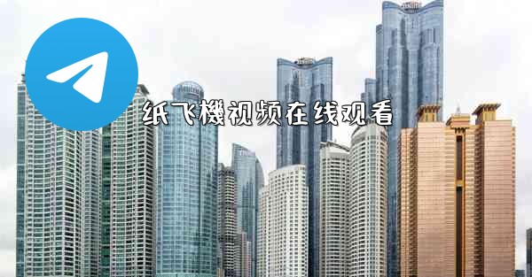 纸飞機视频在线观看