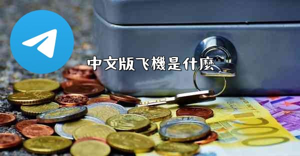 中文版飞機是什麼