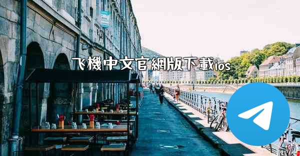 飞機中文官網版下載ios