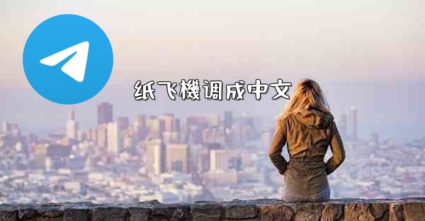 纸飞機调成中文