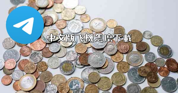 中文版飞機怎麼下載