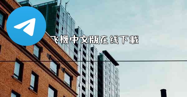 飞機中文版在线下載