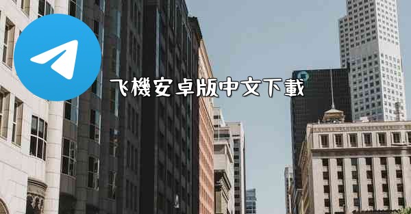 飞機安卓版中文下載