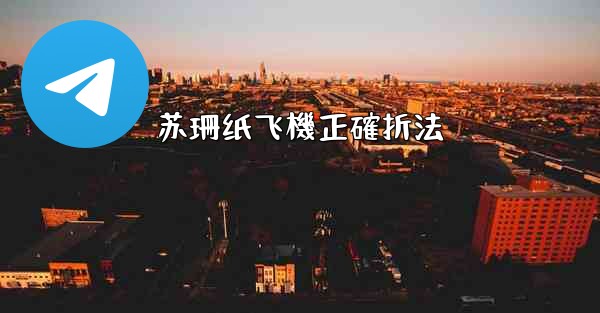 苏珊纸飞機正確折法