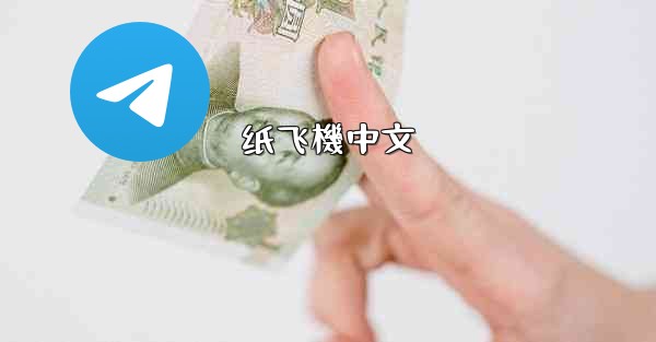 纸飞機中文