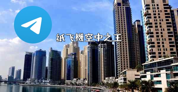 纸飞機空中之王