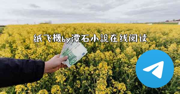 纸飞機by潭石小說在线阅读