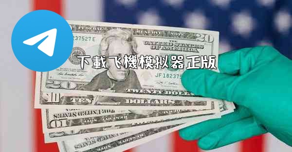 下載飞機模拟器正版
