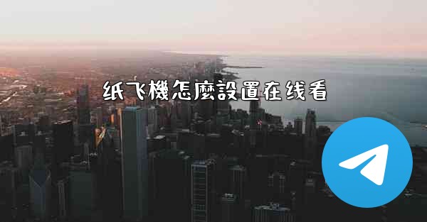 纸飞機怎麼設置在线看