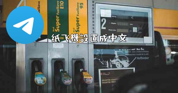 纸飞機設置成中文