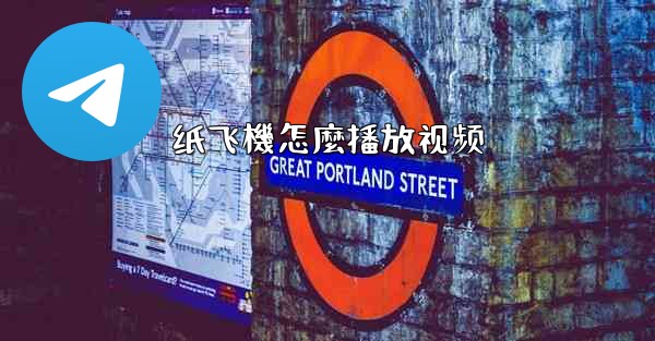 纸飞機怎麼播放视频