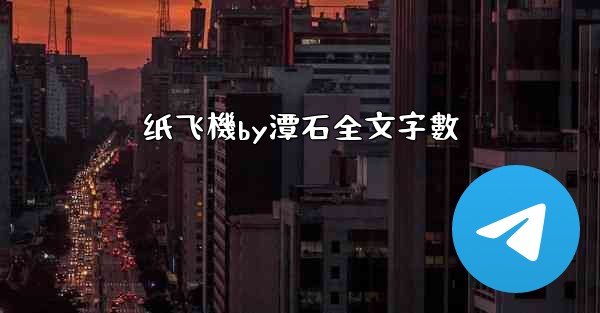纸飞機by潭石全文字數