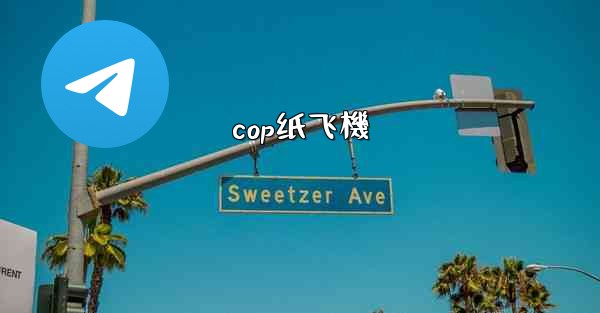cop纸飞機