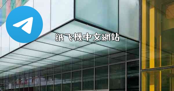 纸飞機中文網站