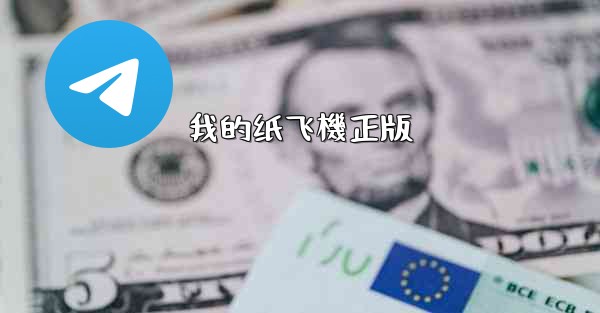 我的纸飞機正版