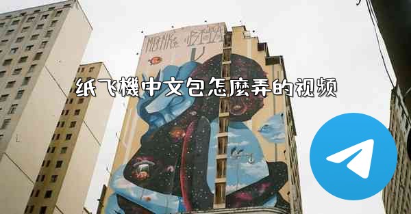 纸飞機中文包怎麼弄的视频