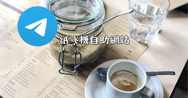 纸飞機自助網站