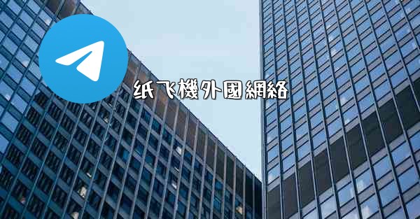 纸飞機外國網絡