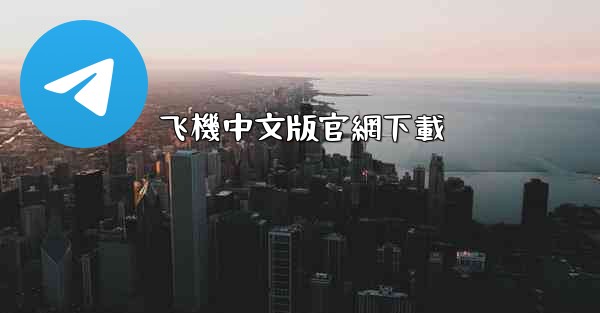 飞機中文版官網下載