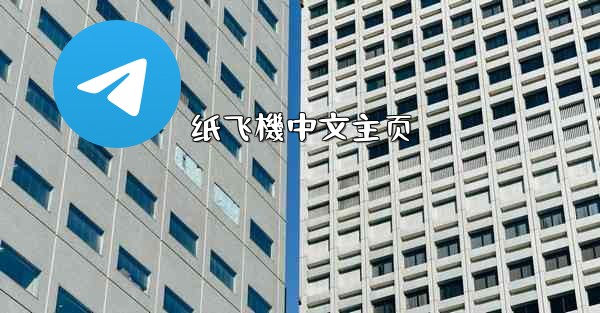 纸飞機中文主页