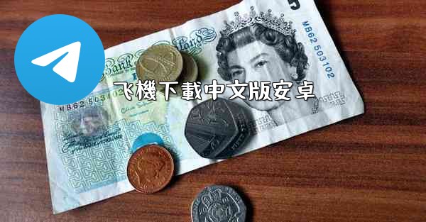 飞機下載中文版安卓