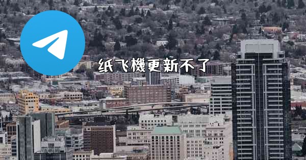 纸飞機更新不了