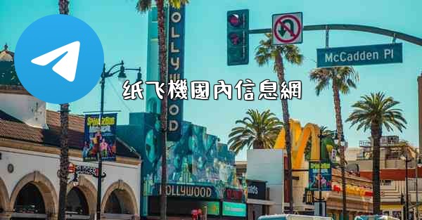 纸飞機國內信息網