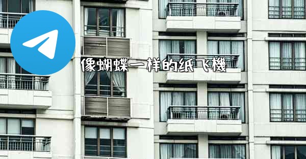 像蝴蝶一样的纸飞機