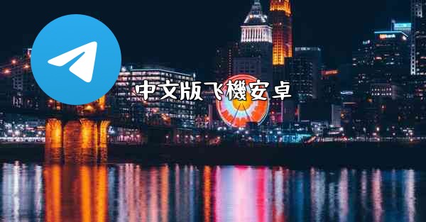 中文版飞機安卓