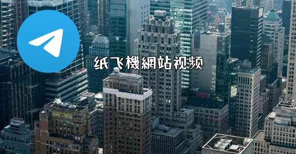 纸飞機網站视频