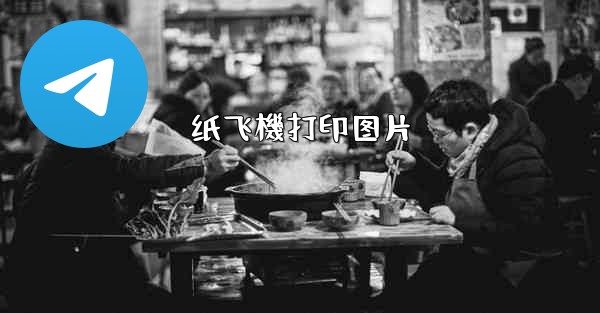 <b>纸飞機打印图片</b>