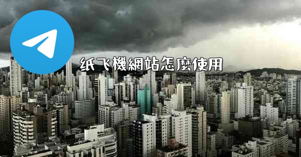 纸飞機網站怎麼使用