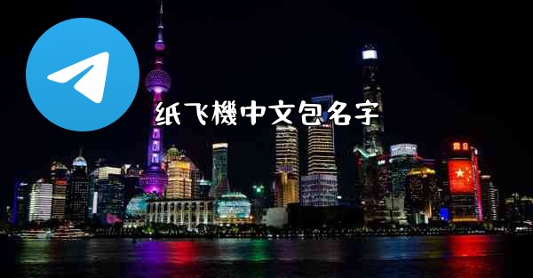纸飞機中文包名字