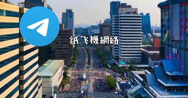 纸飞機網絡